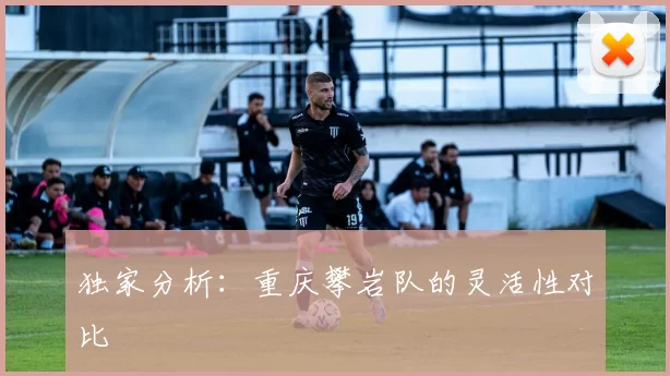 独家分析：重庆攀岩队的灵活性对比