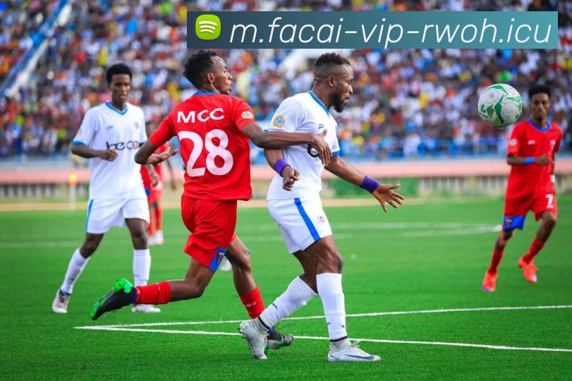 App Interface Preview