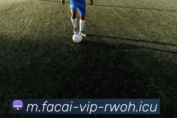 星空体育APP 封面图